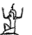 C11