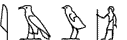 M17-G1-G43-A21