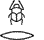 L1:D21