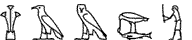 M16-G1-G17-G51-A24