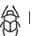 L1-Z1