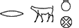 D21-F26-W24:O49