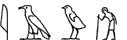 M17-G1-G43-A19