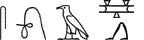 S29-V4-G1-N31:D54