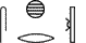 S29-Aa1:D21-Y1\r1